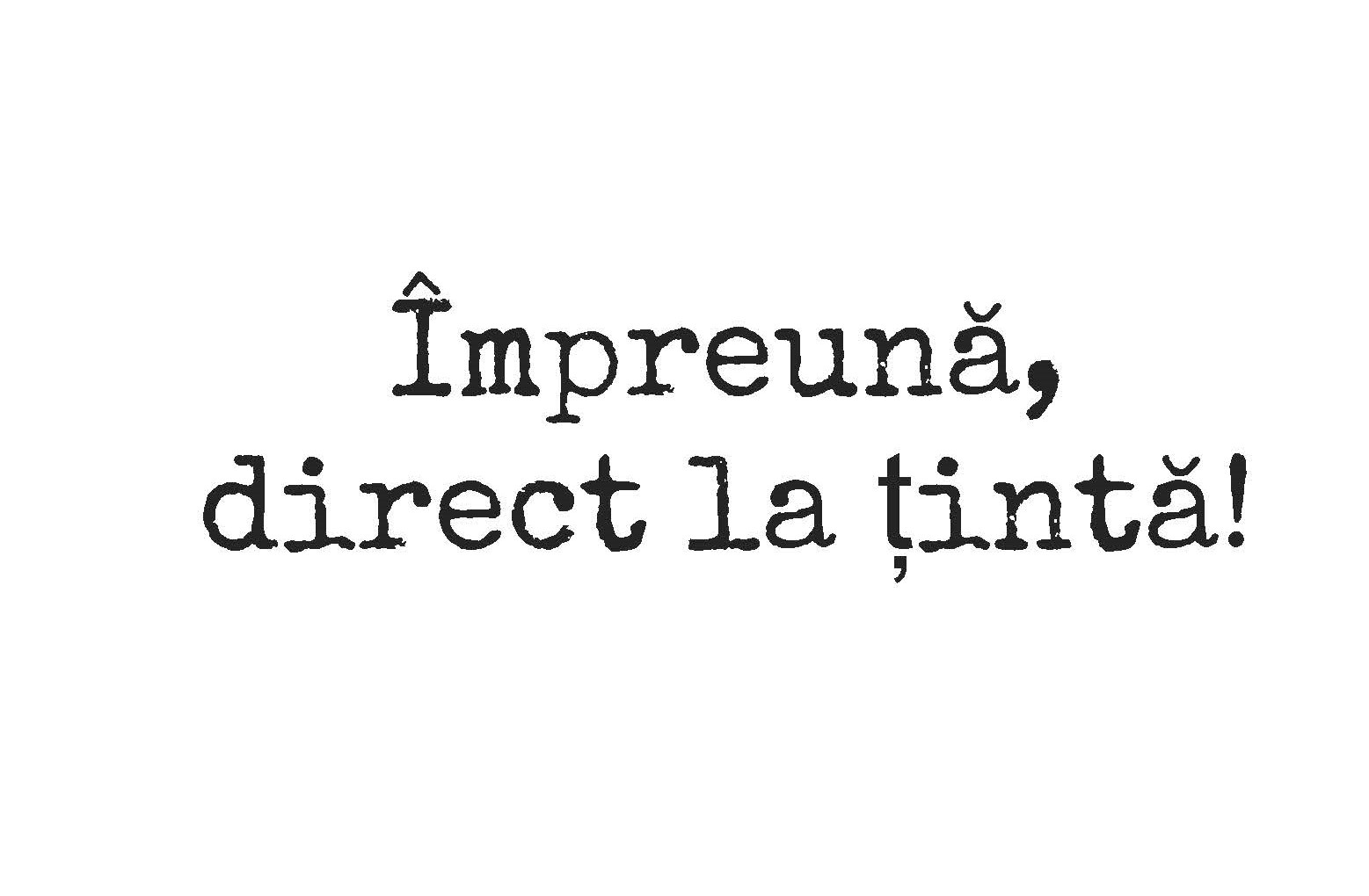 Imagine reprezentativă 1